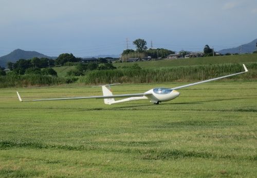 IMG_0288 (500x347)