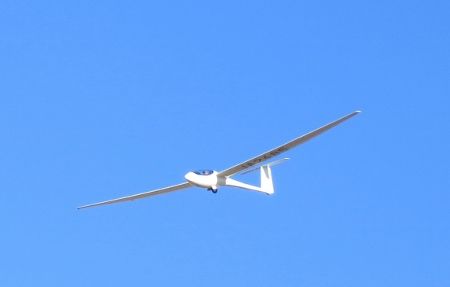 IMG_1547 (450x287)