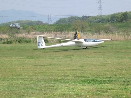 IMG_2307 (450x338)