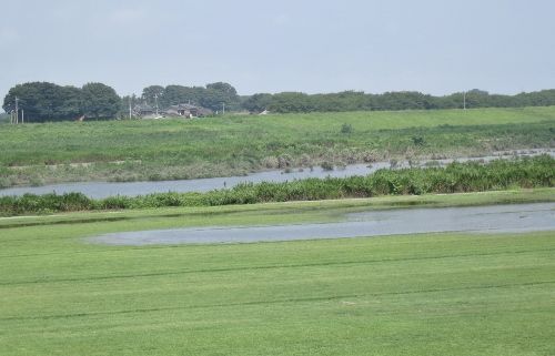 IMG_1473 (500x321)