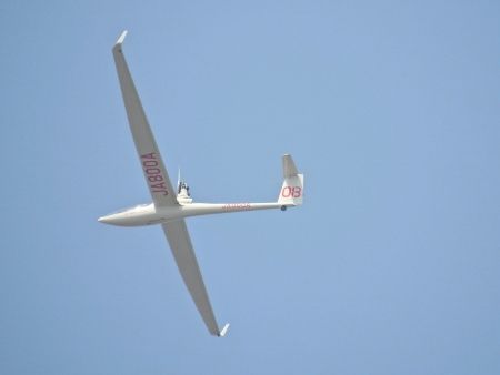 DSCN0034 (450x338) (2)