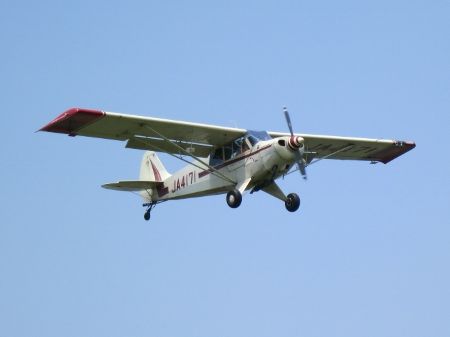 IMG_2310 (450x337)