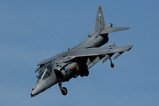2046d559.jpg
