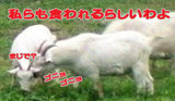5bf91d51.jpg