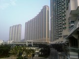 729417dc.jpg