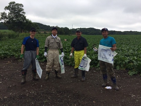 受け入れ時写真④ ビートの除草②