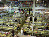 Amoeba Music insude