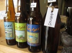 songbird beer (250x184)