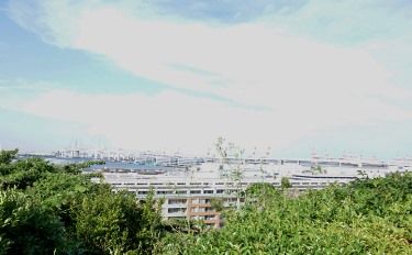 DSC00339 (375x232)
