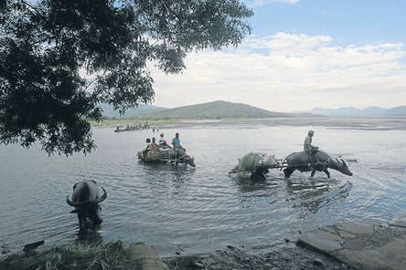 botolanZambales