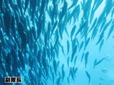 23-3(筆ん崎)