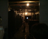 391d3b26.jpg