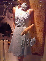 403d17c7.jpg