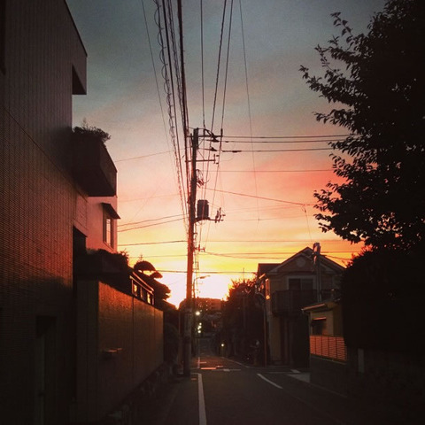 20130917-ÂæÉ÷°ì²á¤Îͼ¾Æ¤±¤Î¼Ì¿¿-04
