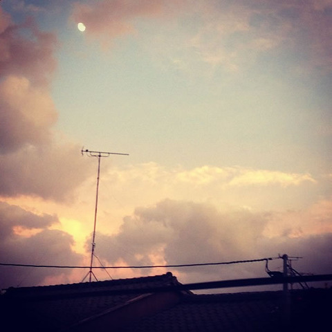 20130917-ÂæÉ÷°ì²á¤Îͼ¾Æ¤±¤Î¼Ì¿¿-10