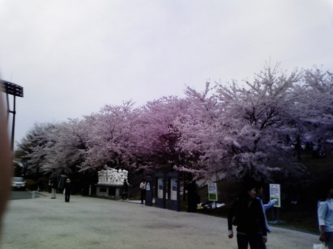 bca59459.JPG