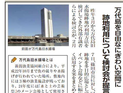 20130222-Firefox-PDFをGoogleDocsで開く-04
