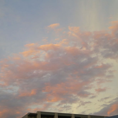 20130917-ÂæÉ÷°ì²á¤Îͼ¾Æ¤±¤Î¼Ì¿¿-03