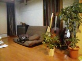 6db041f6.jpg