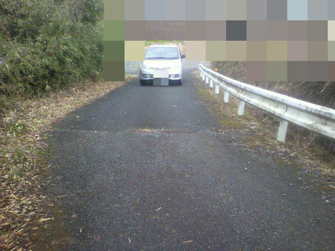 BlogPaint