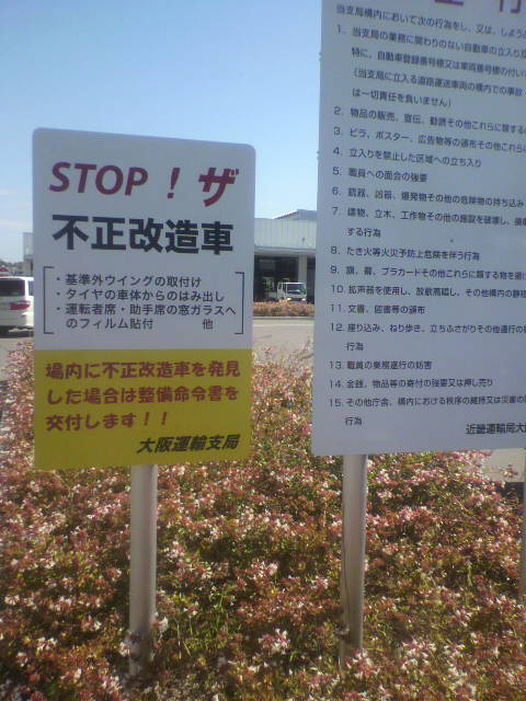 62dbef19.jpg