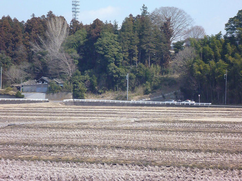 BlogPaint