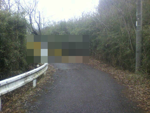 BlogPaint