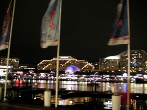 SANY0236