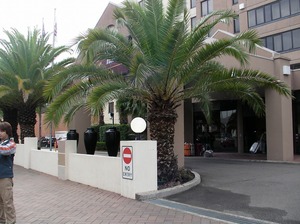 SANY0024