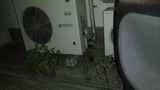DCF00466
