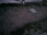 2009.03.17right