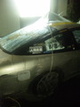 7173172f.jpg