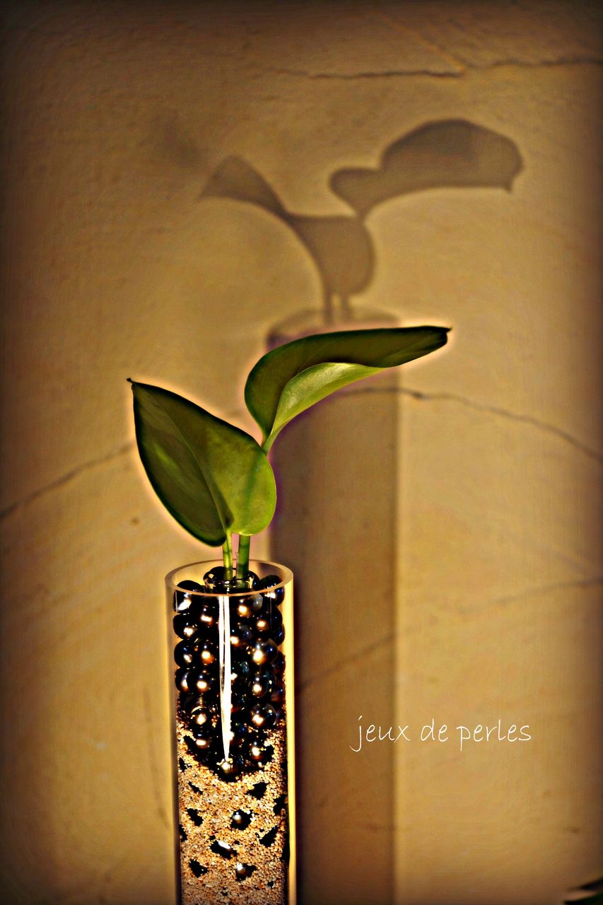 pearl_objet