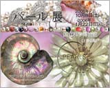 パール展