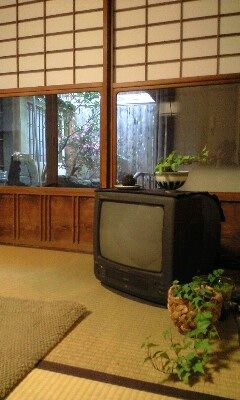 101228_1510~0001