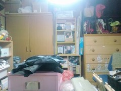934a0ba9.jpg