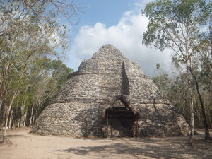 DSCF3896