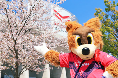 20190413 (1)