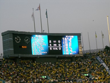45059911.jpg