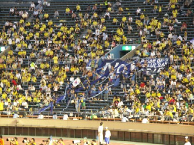 ddcfc210.jpg