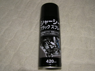 P4301384