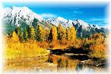 ���ʥ������ܸ춵��