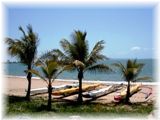 ���ܸ춵�ե������ȥ�ꥢTownsville