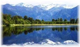 NZ���ܸ춵�մĶ������ܥ��ƥ���