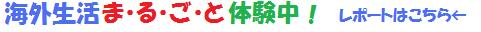 NZ����ޤ뤴���θ��ץ����������ܸ춵�ե���������Ȥ�NZα���θ���