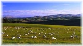 NZ���ܸ�ܥ��ƥ���