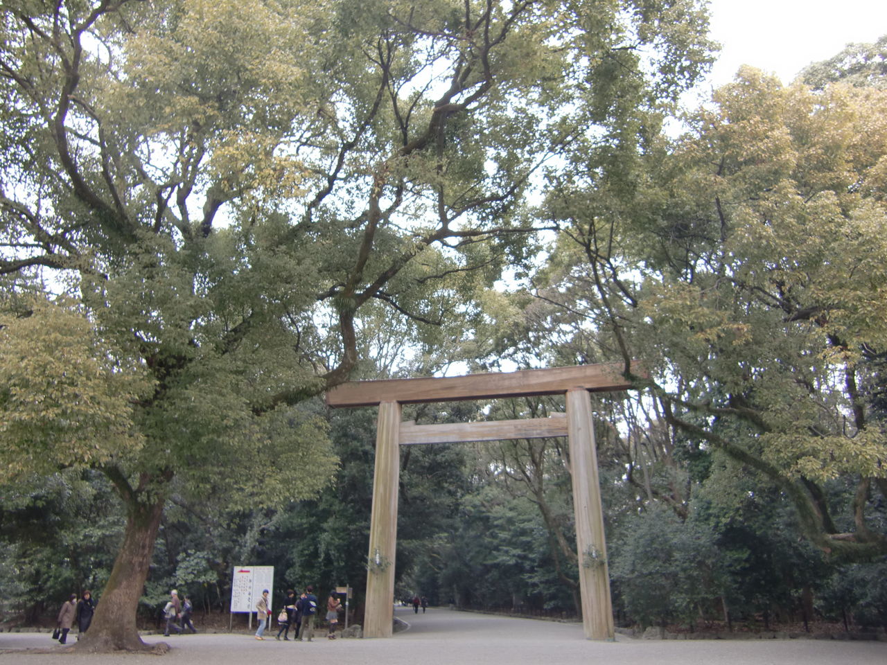 pics 014