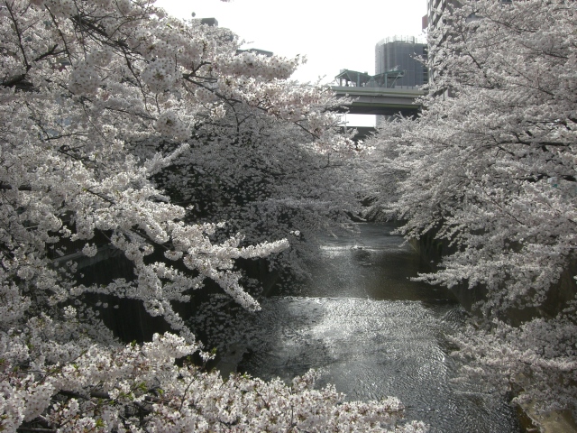 pics 01 783