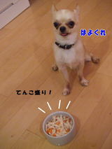 マテだよ!