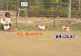 調子に乗って・・・